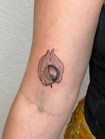 Ein fineline Physalis Tattoo auf dem Arm