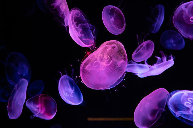 innovisual static background.jpg