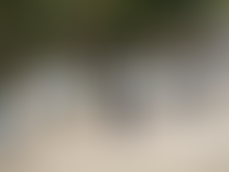 Roberto Najar : un cross à son image