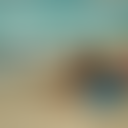 The summer I turned pretty