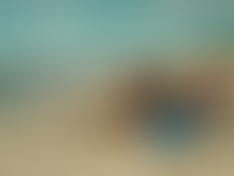 The summer I turned pretty