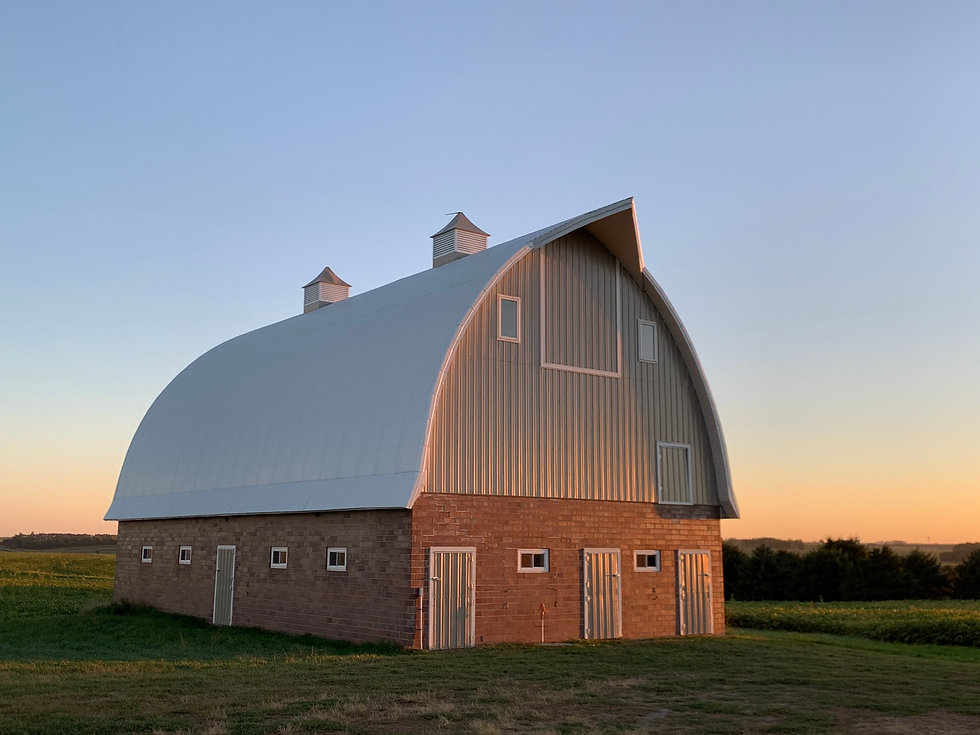 References Dutch Barn Puppies, LLC