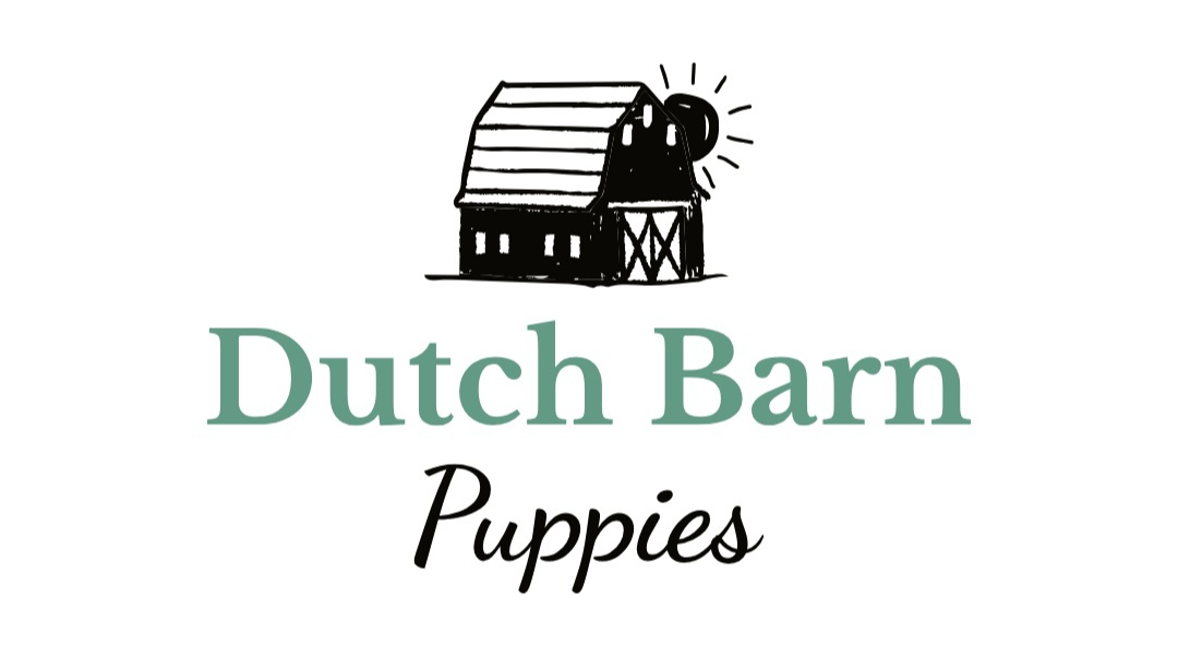 Writer: Dutch Barn Puppies