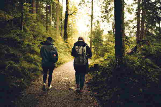 walk and talk 2.jpeg