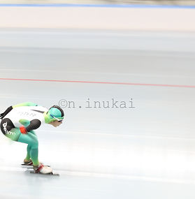 スピードスケート　speed skating
