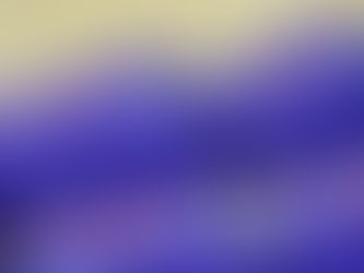 1節　2025/6/14-15　セーレン・ドリームアリーナ（福井）