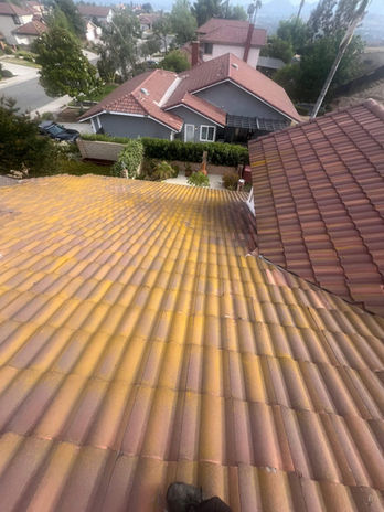 A house with a brown tile roof showing extensive yellow discoloration, set in Riverside, with a backyard, greenery, and a neighboring structure visible—ideal for professional roof cleaning or soft wash services.