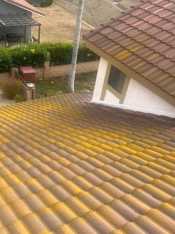 A house with a brown tile roof showing extensive yellow discoloration, set in Riverside, with a backyard, greenery, and a neighboring structure visible—ideal for professional roof cleaning or soft wash services.