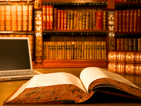 Carry out an Anti-Bribery Investigation