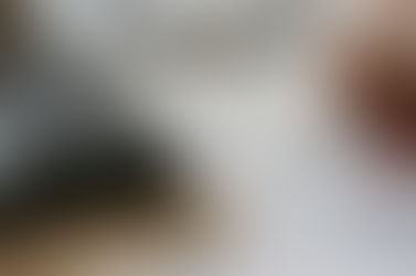 Understanding the Language behind the Numbers: Financial Fruad