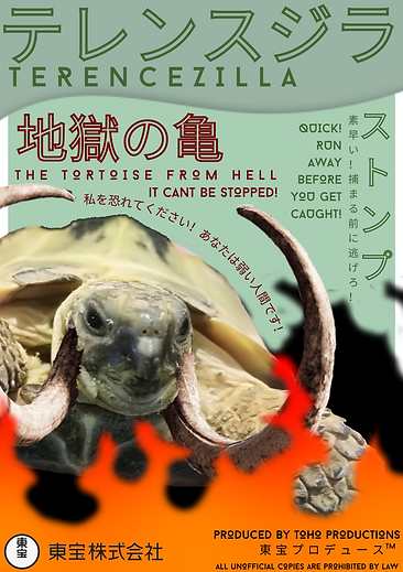 Poster 3 (Terencezilla).png