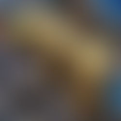 Basics of Forex ForYou