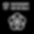 TGG_Icon_BW_17.png