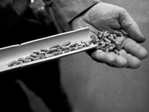 Biomass vs Coal: Why are industries making shifts?