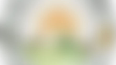 تصريح المتحدثة باسم الهيئة المرحلية " للحركة الوطنية الكردية "
