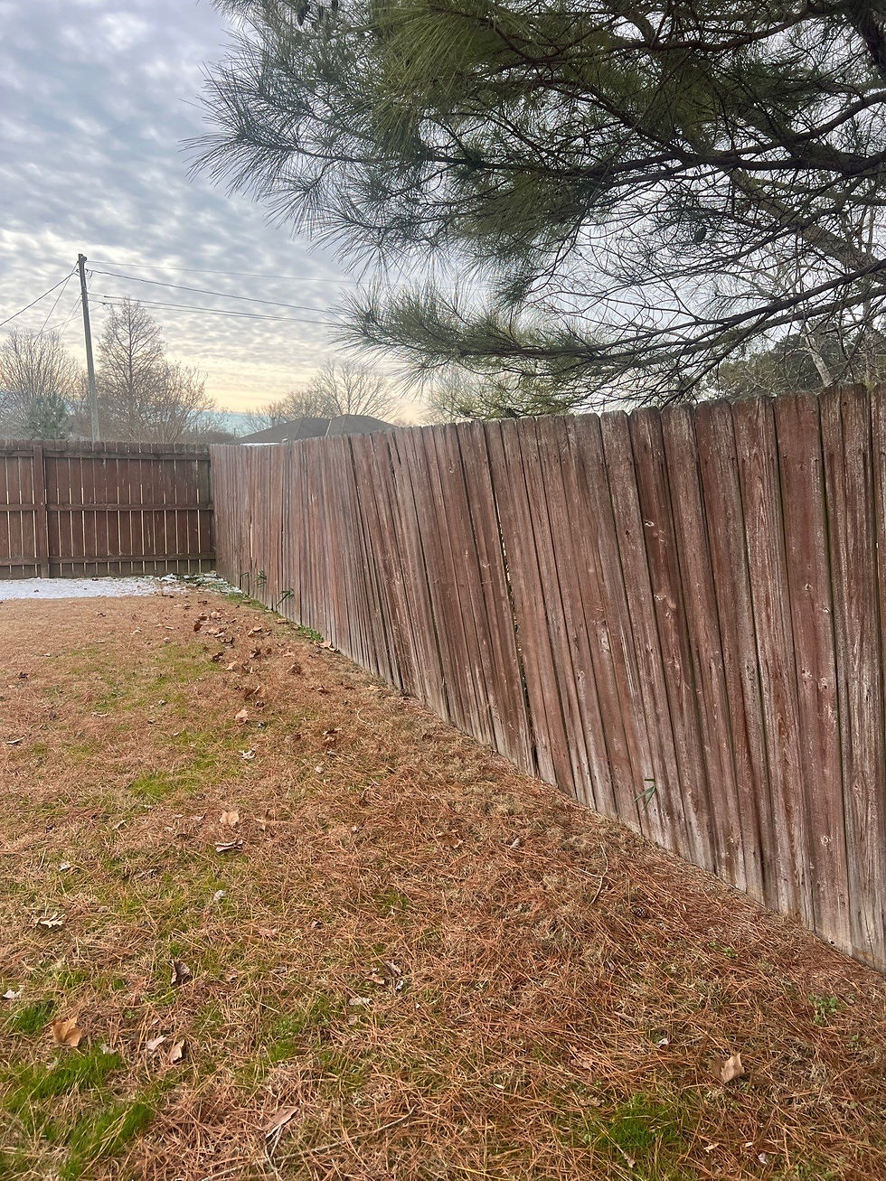old fence before replacement