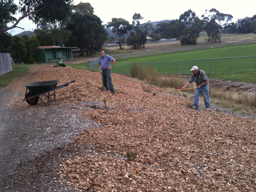 At work near Clarendon Vale Oval