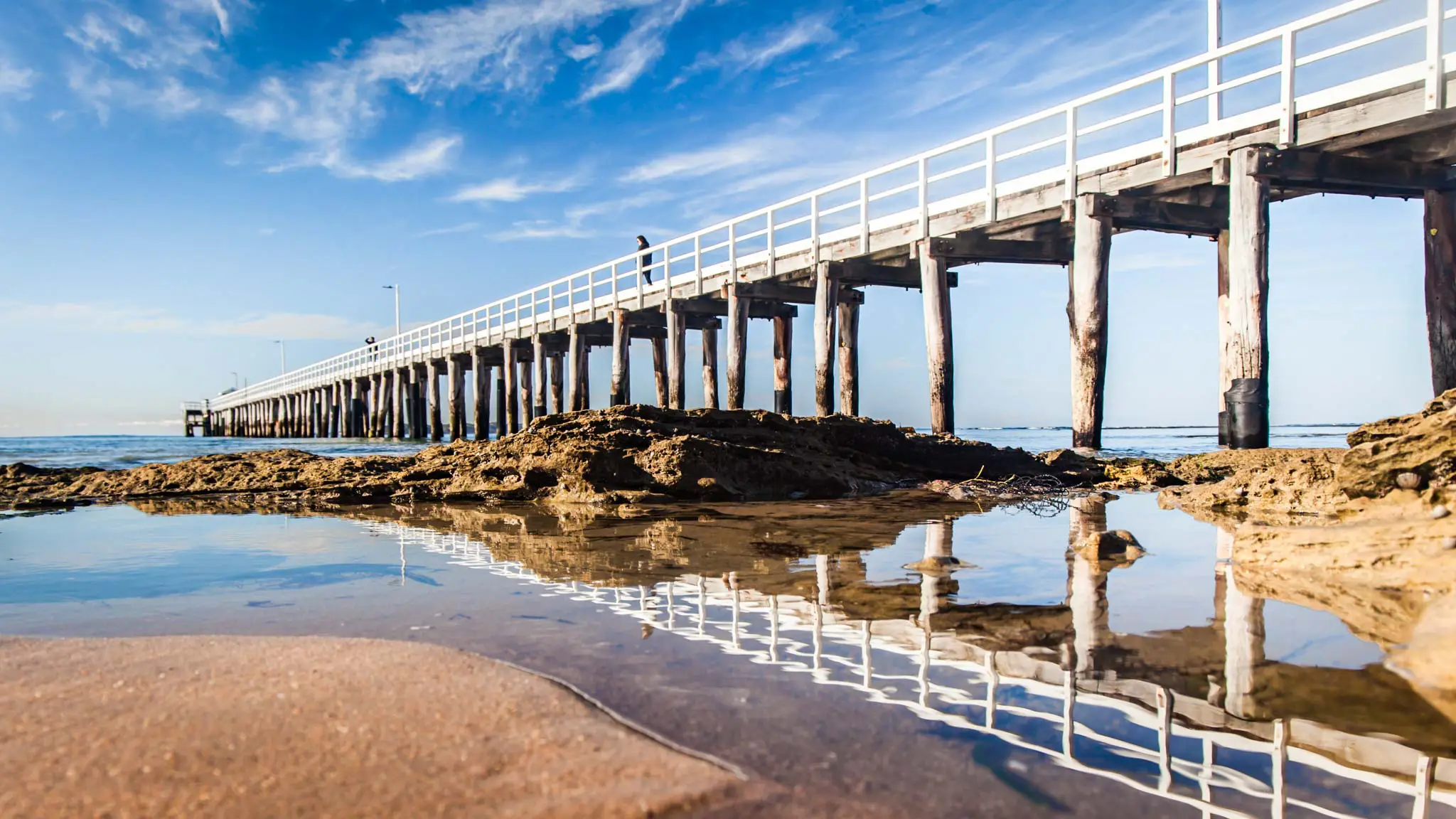 Bellarine1.webp