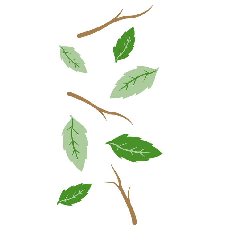 left icon (green leaf)