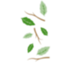 right icon (green leaf)