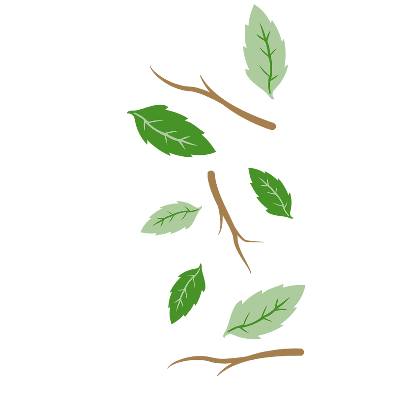 right icon (green leaf)