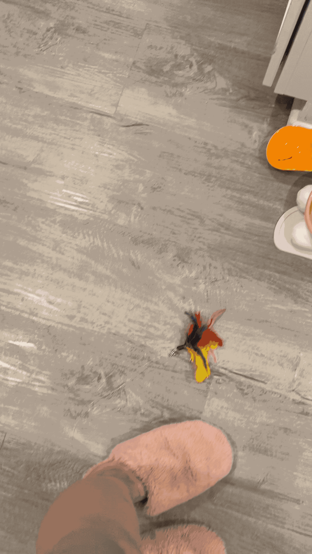 walk under 24.gif