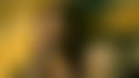 Evil Dead Rise: The Latest Deadite Outing Gets an Improved 4K Release (Limited Edition 4K)