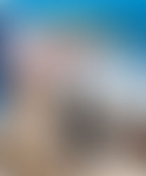 Better Call Saul: Season Two Comes to Blu-ray/DVD on November 15th