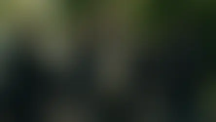 Task: The Complete First Season: Brad Ingelsby Delivers Another Riveting Crime Thriller (DVD)