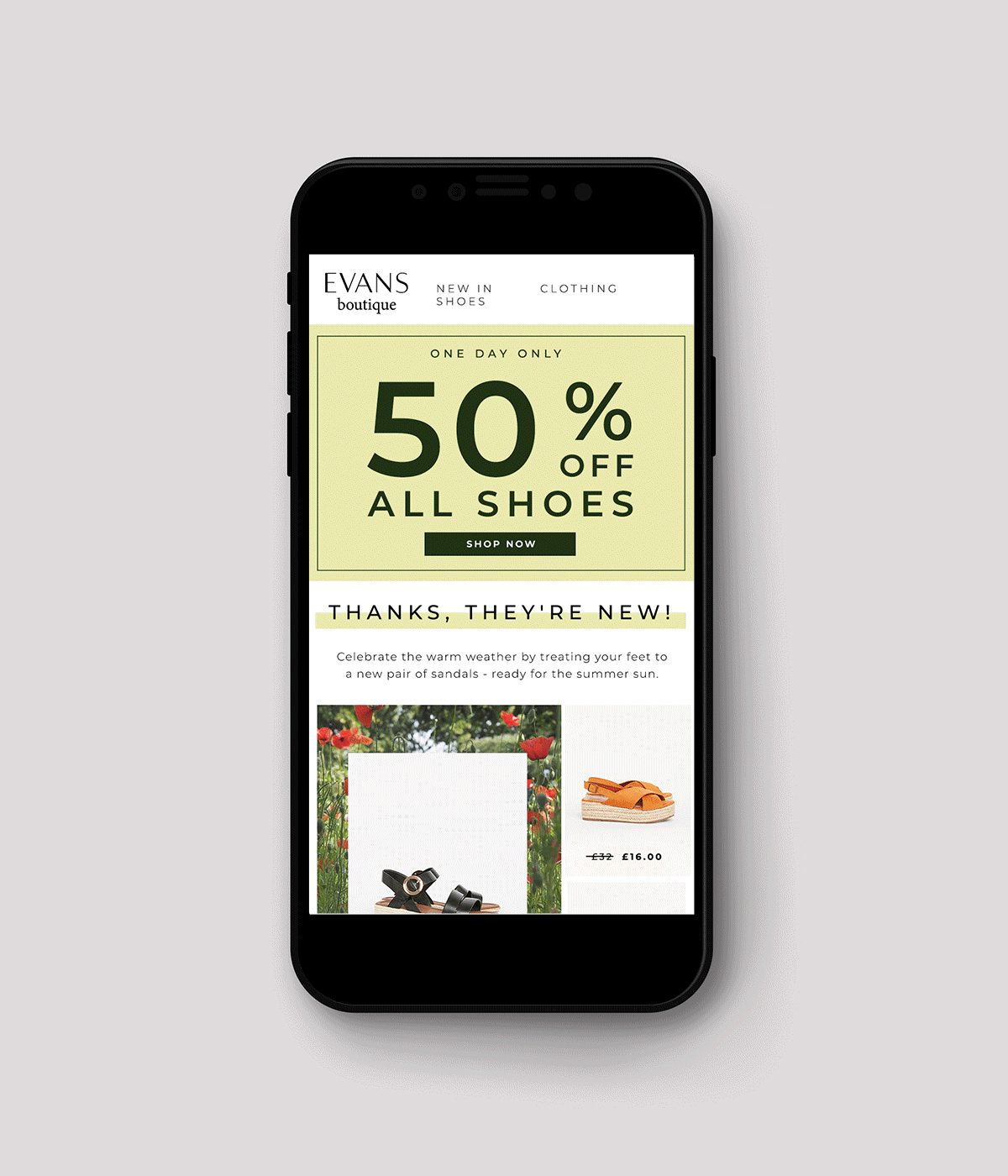 Email-GIF-Mock-Up3.gif