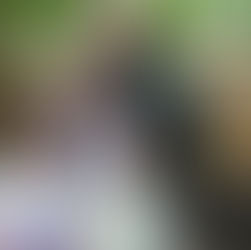 Dans un monde en perpétuelle évolution, l’initiative Le Canada sans faille des FAC demeure une constante