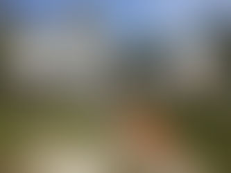 "Vegging Out" on Big Averill Lake: Lakeshore Restoration and The Vermont Lake Wise Program