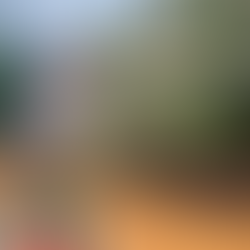 Authentic Immersion in Laos: A Romantic Journey for Two