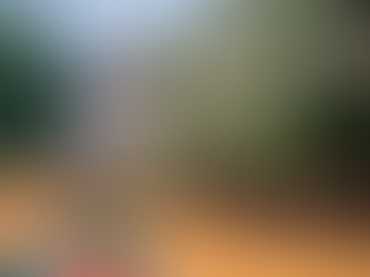 Authentic Immersion in Laos: A Romantic Journey for Two