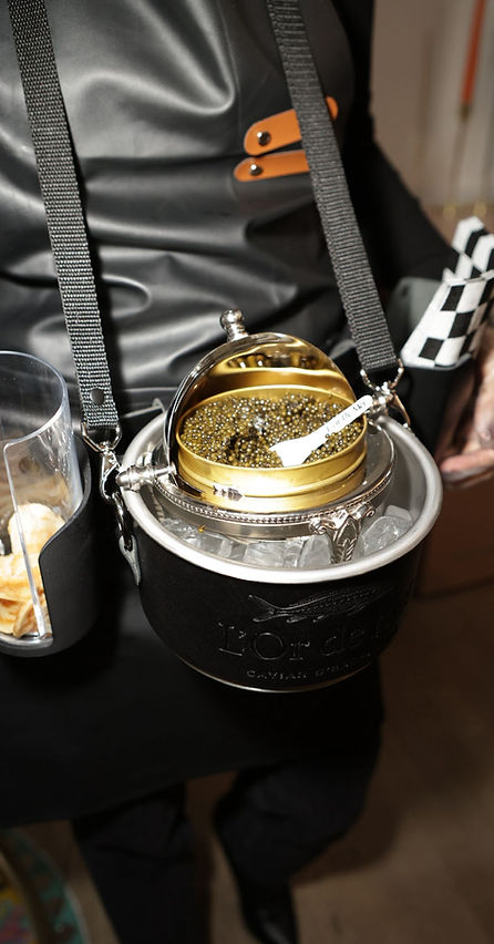 WhatsApp Image 2026-01-23 at 00.15.59.jpeg