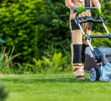 istockphoto-1264145990-612x612.jpeg