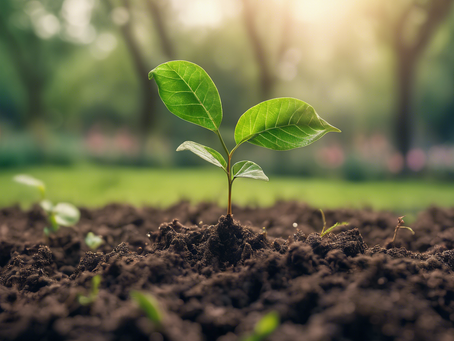 Invest in Generational Climate Change Adaptation with Adapt Now California