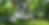 simon_13911_Border_Collie_lying_on_a_tropical_garden_lawn_sur_8e070395-a48c-43c9-a13d-2f28