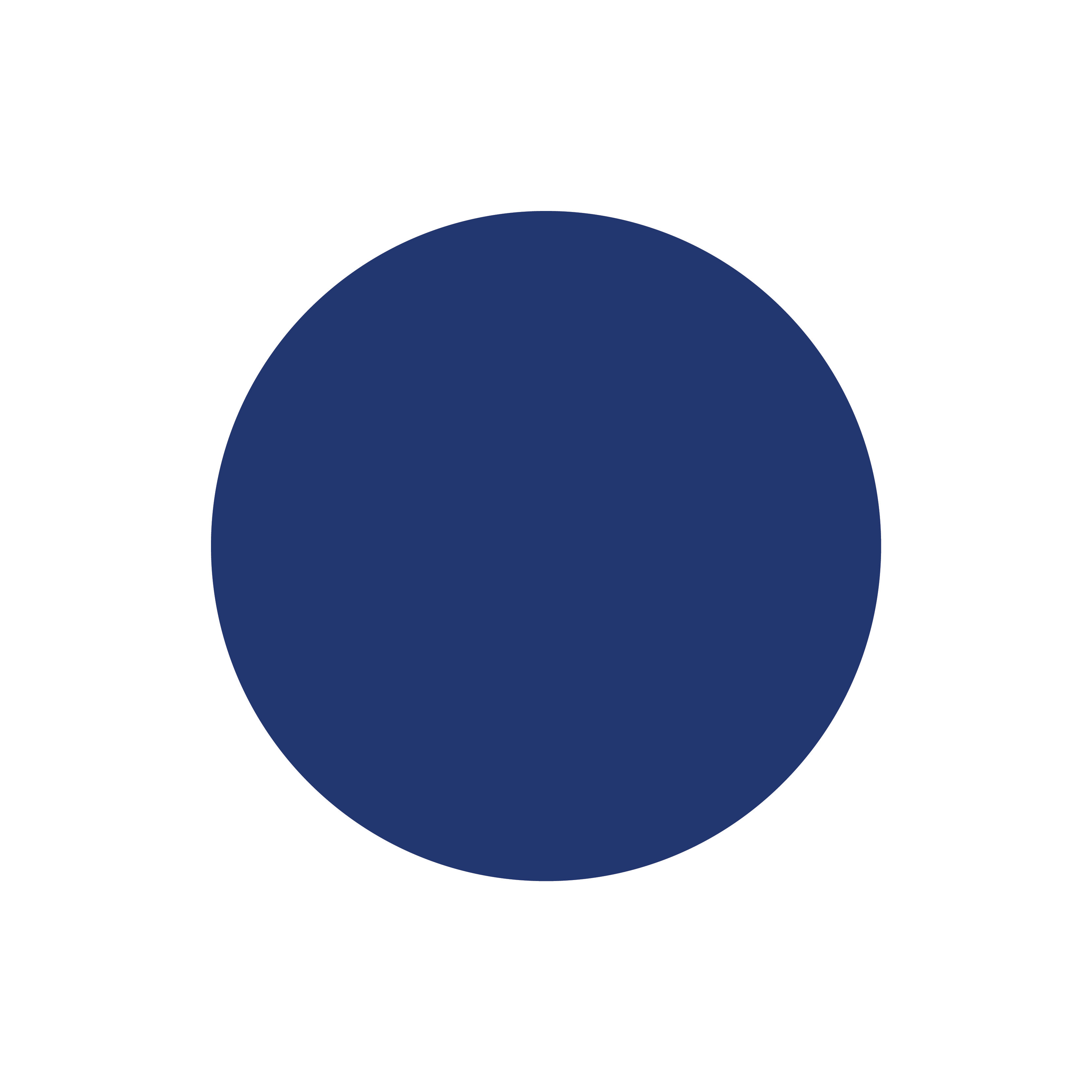 ND14 - 14mm Navy Dot