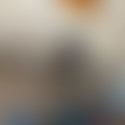 店舗プチリニューアル✨鹿のはく製をいただきました🫎