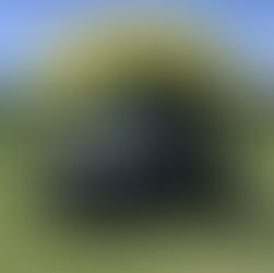 お知らせ📢2/24(月・祝)は休業となります!