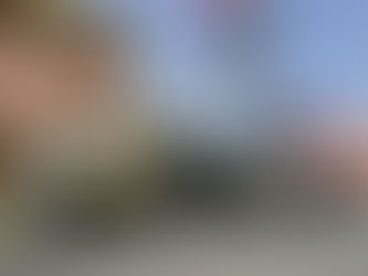 🎏昨日より通常営業となりました🎏