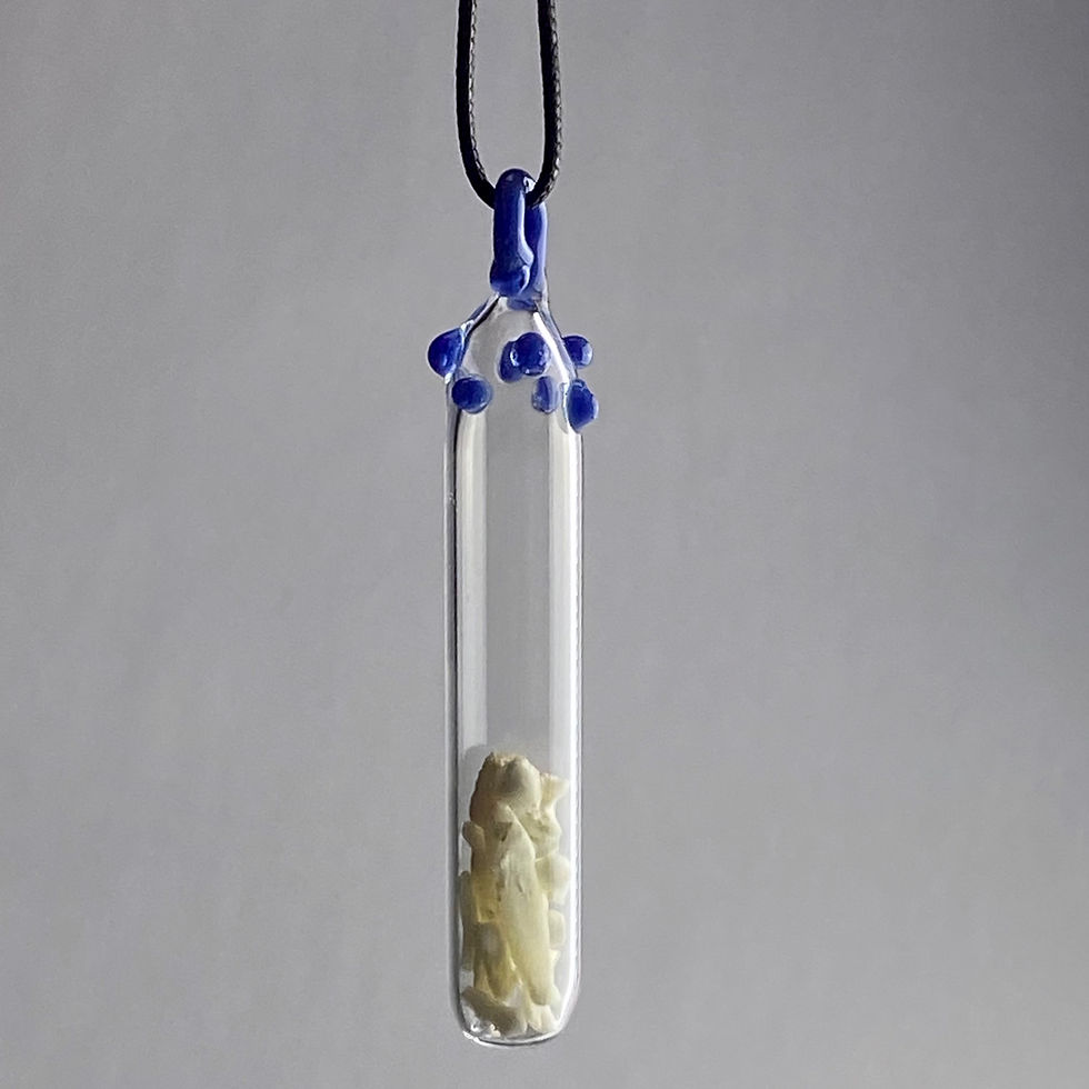 Thumbnail: Custom Pendant Reliquaries