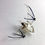 Thumbnail: Blown Glass Bat filled with a moth