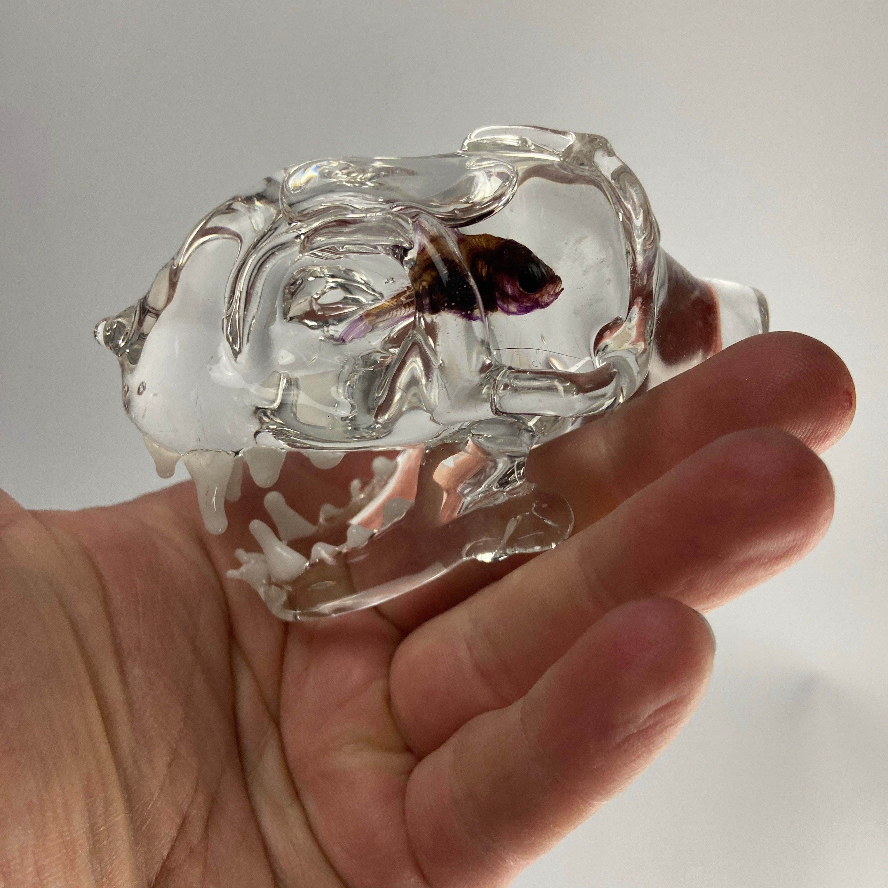 Diaphonized Fish in a Glass Cat Skull
