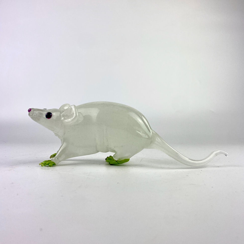 Thumbnail: Green Fluorescent Protein Mouse