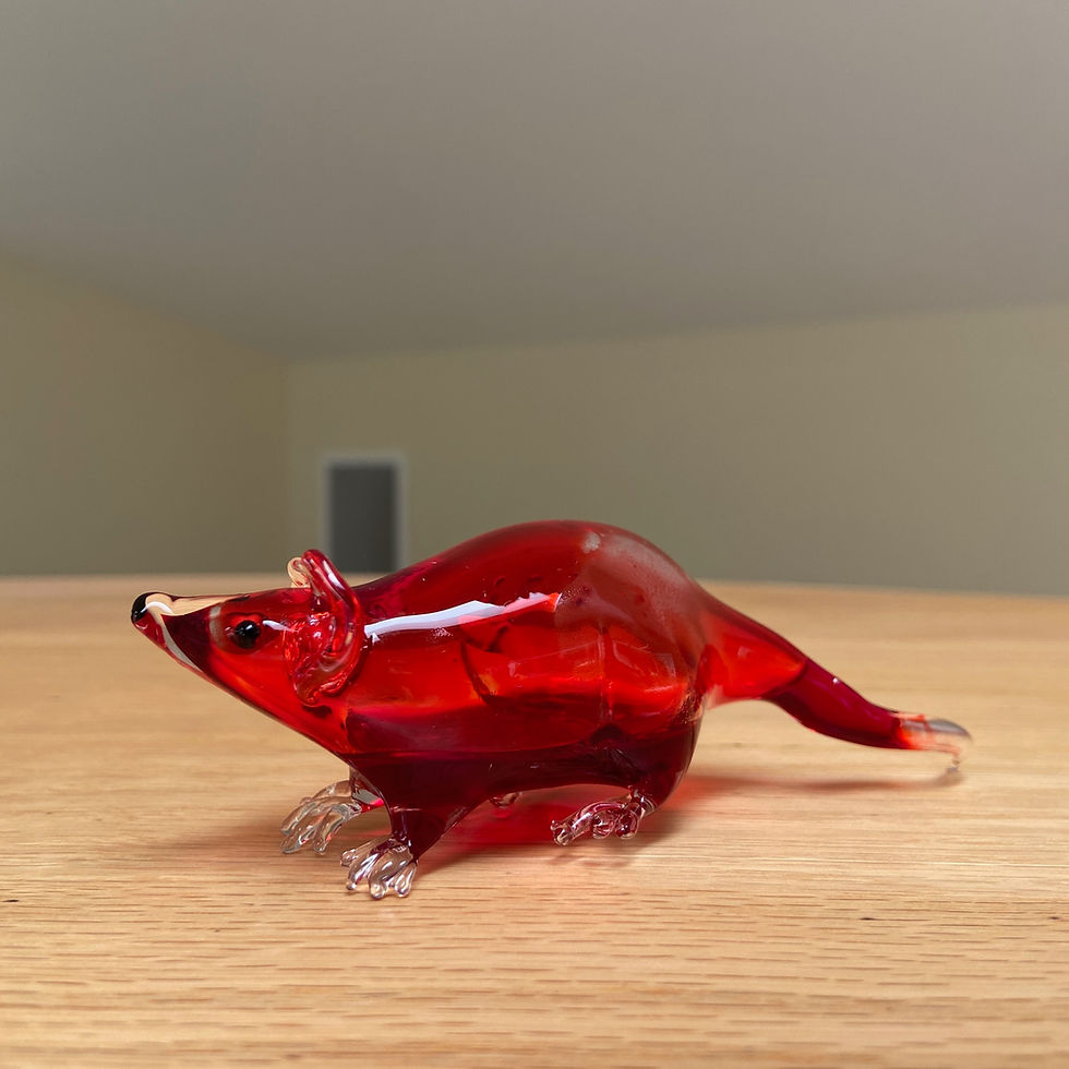Thumbnail: PREORDER mini Blood Filled Rat
