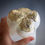 Thumbnail: Hand Blown Glass Tooth with Silver Leaf Filling