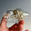Thumbnail: Glass Raccoon Skull filled with Snakeskin and Bones