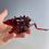 Thumbnail: Virus Mouse (Covid-19)